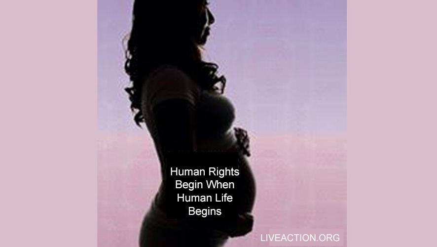 Parshas Shoftim: Protect Unborn Babies in Your Neighborhood