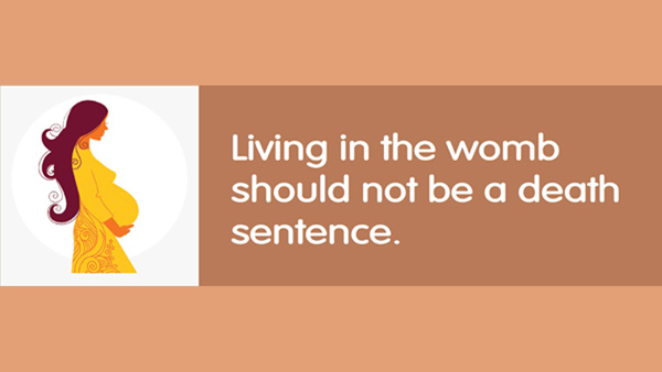 The Promises of Passover