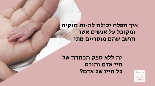 !פרשת שמיני: בחרו חיים כשרים - בחרו בחיים