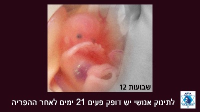 סוכות: אלוהים נותן לנו חיים, אוכל ומחסה
