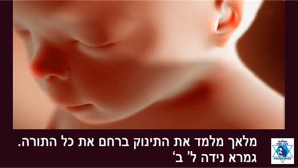 !פרשת מטות מסעי: אל תדאגו. היו קדושים