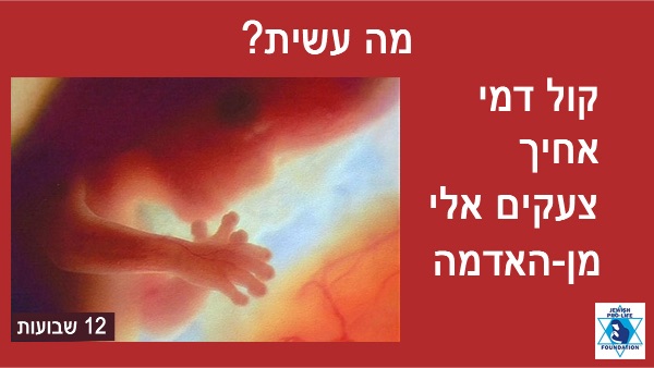פרשת בראשית: התחלה חדשה