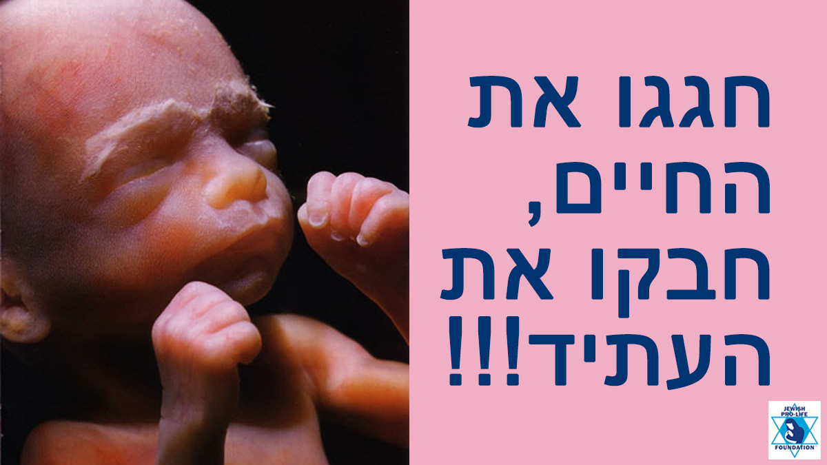 פרשת ניצבים-וילך: בחרו בחיים ובעתיד