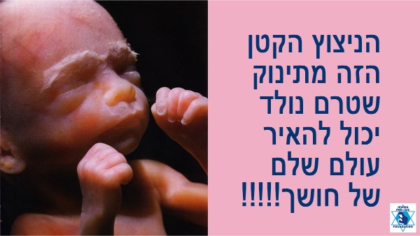  פרשת נשא: חיים ראויים לחיות