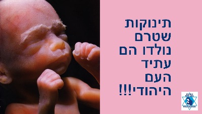 פרשת ניצבים: בחירת החיים - מצווה חובה