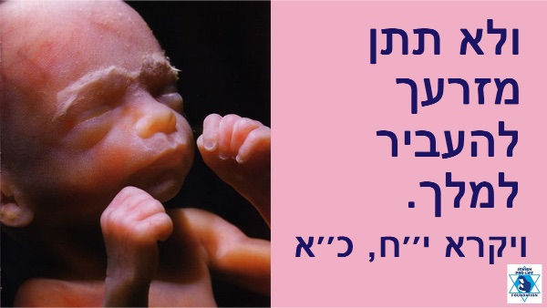 שמיני עצרת ושמחת תורה: חגיגות של תקווה וקדושה