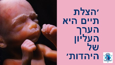 פרשת ויירה: צדק אלוקי