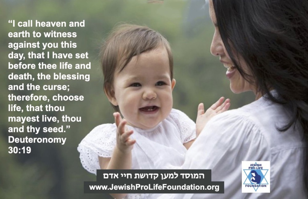 Rabbi Chananya Weissman Teaches The Torah on Unborn Children