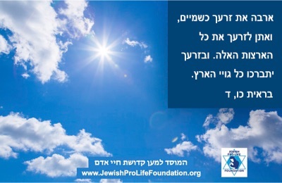 פרשת לך לך: כוכבי ברכה