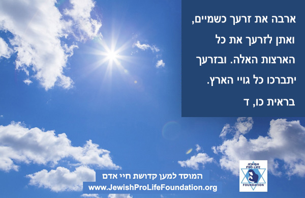 פרשת לך לך: כוכבים של ברכה