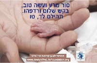 פרשת וילך: קריאה אחרונה לתשובה