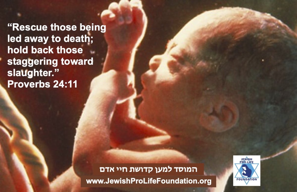 Jewish Pro-Life Replies to Jewish Pro-Abortion Claims