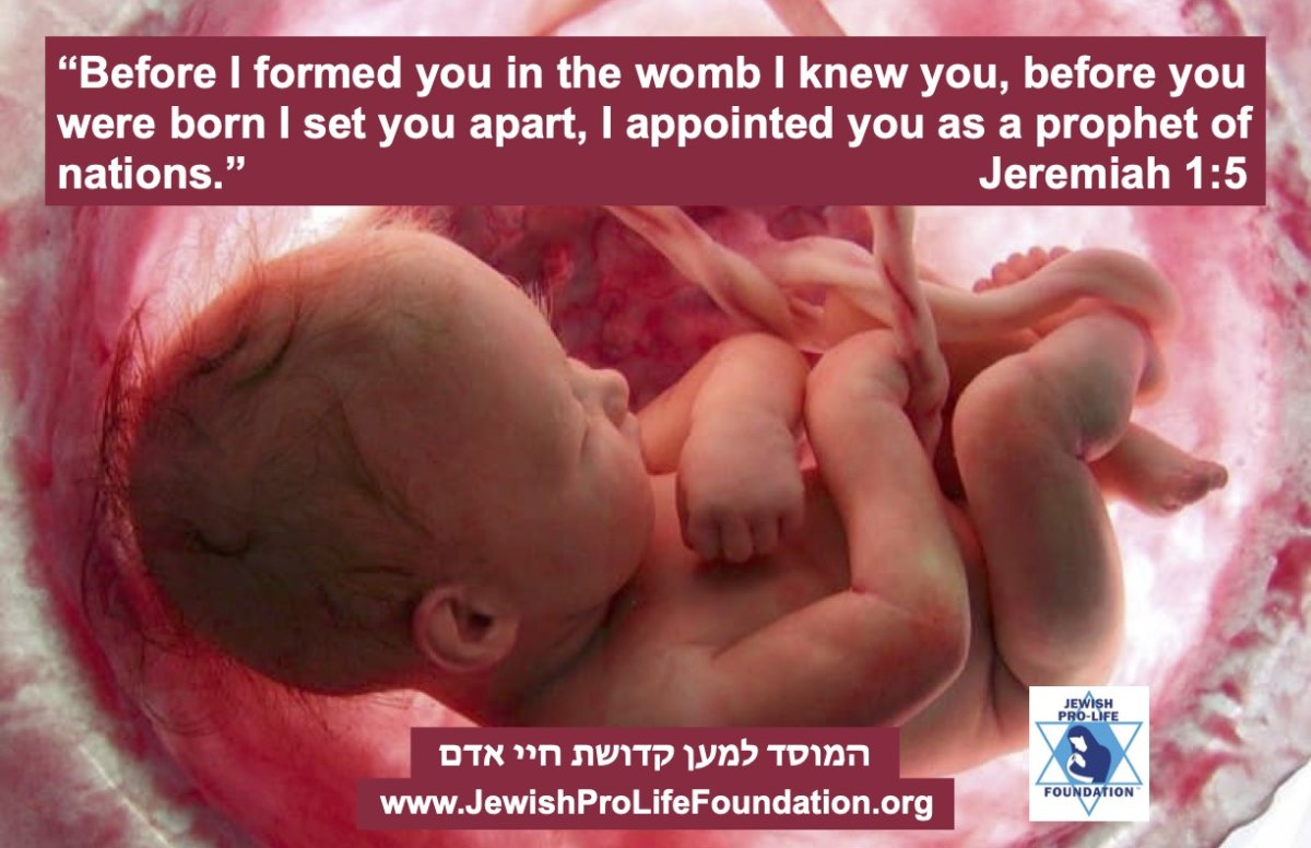 Torah Teaches Life Begins in the Womb