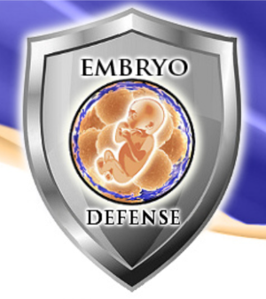 Embryo Destruction and Selective Abortion in IVF Fertility Treatment