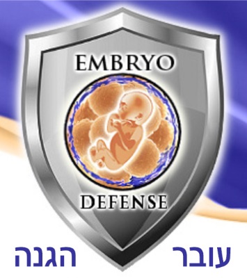 הרס עוברים והפלה סלקטיבית בטיפולי פוריות בהפריה חוץ גופית