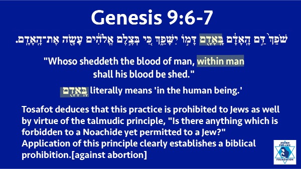 Genesis 9:6-7