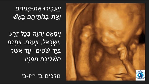 מכתב לחברי הכנסת בנוגע לאיום הביטחוני הדחוף של הפלות בישראל