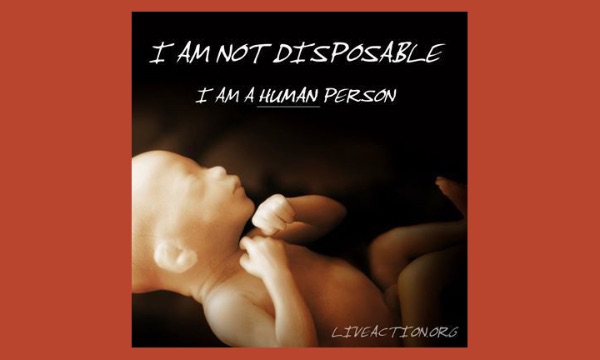 Parshas Shelach: Pro-Life Jewish Leaders Required