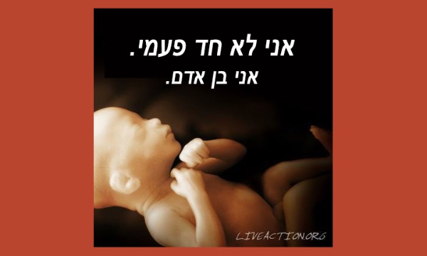 פרשת שלח: פרו-לייף דרושים מנהיגים יהודים