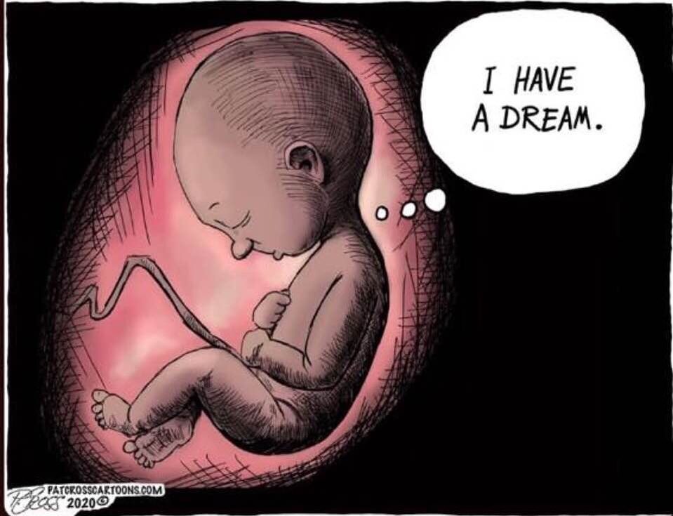 The Right to Life and Liberty Begin at Conception