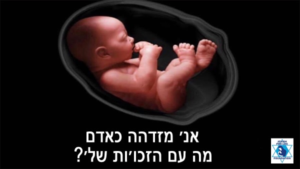 פרשת צו: עקרון ההמשכיות האלוהי