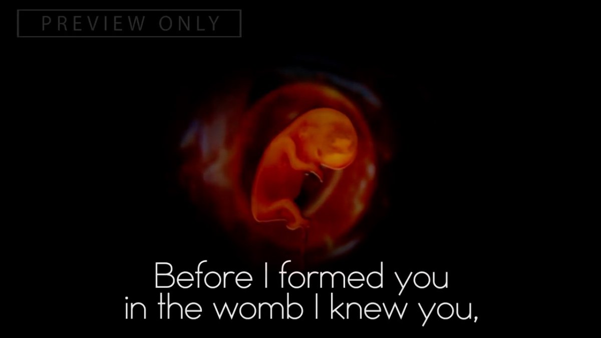 Parshas Bo: The Great Escape