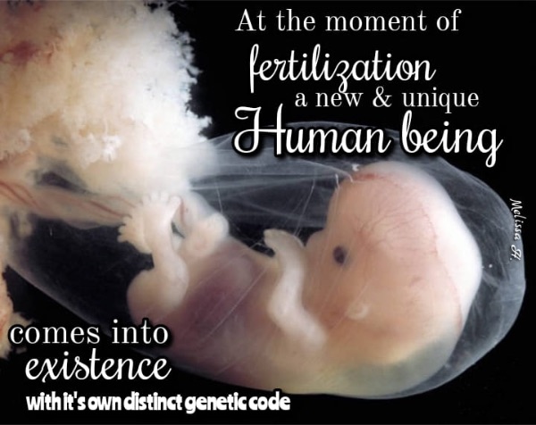 Men Having Babies: What's the Torah Way to Make a Baby?