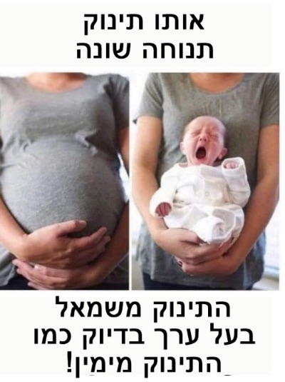 פרשת חוקת-בלק: היה ישר ונועז