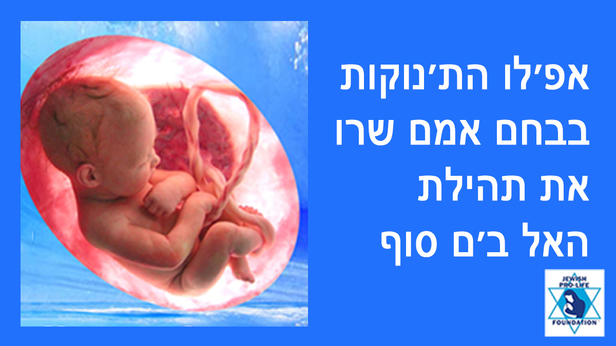 פרשת בשלח: תינוקות לפני לידתם שירו ​​תהילות לה'!