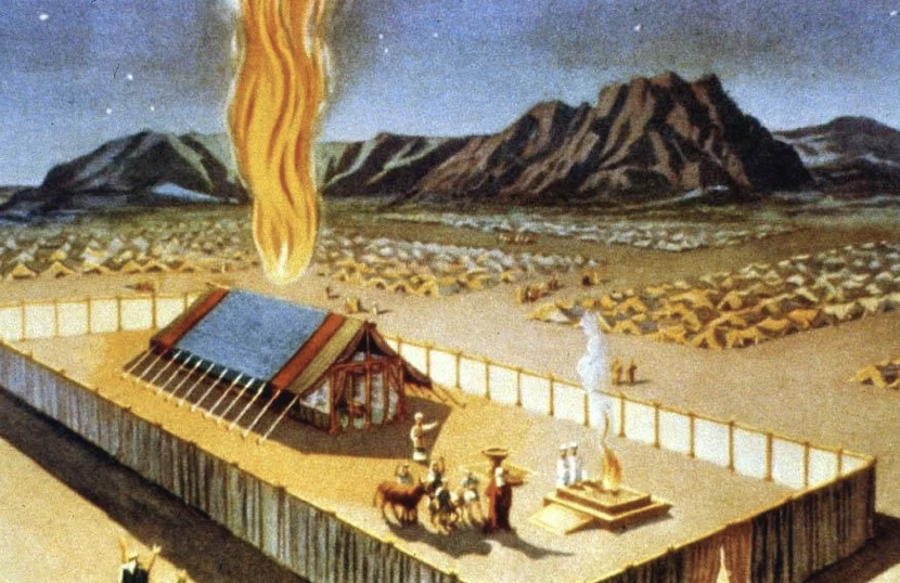 Pro-Life Torah Shemini