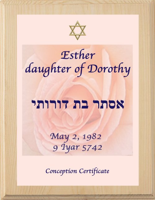 Conception Certificate