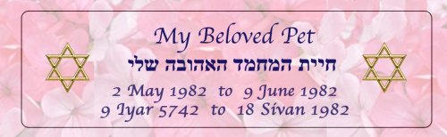 Yahrzeit or Conception Candle