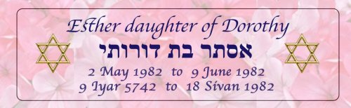 Yahrzeit or Conception Memorial Candle