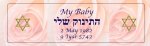 Yahrzeit or Conception Candle
